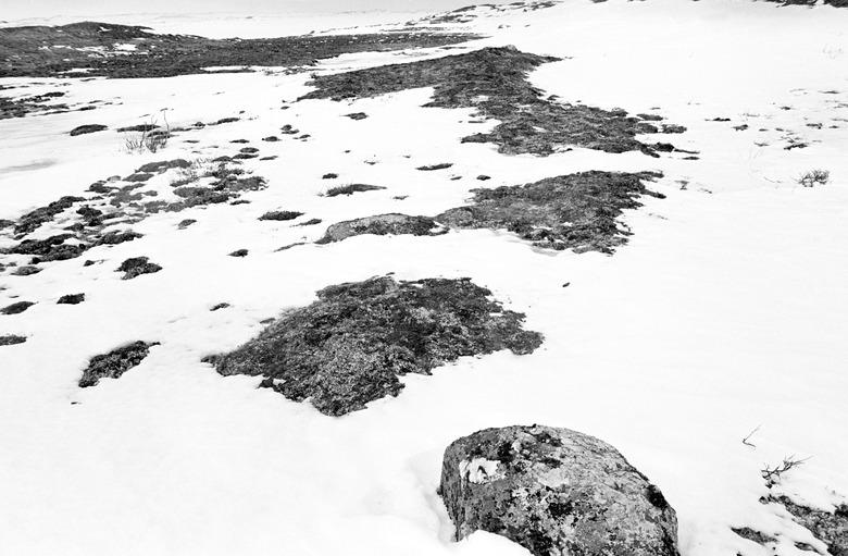 Expanse of barren snowy tundra