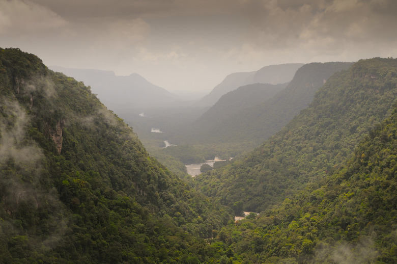 Amazon Valley