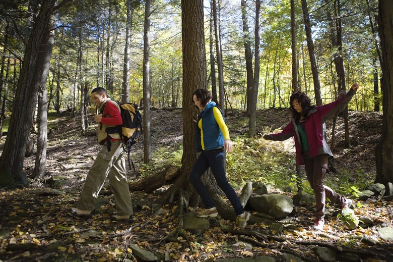 Friends hiking in woods