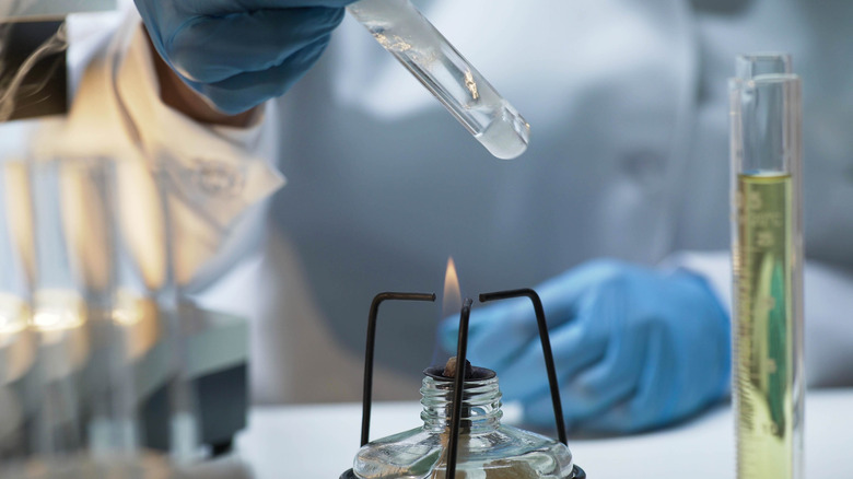 Scientist holding tube with boiling fuming liquid over burner, lab experiment