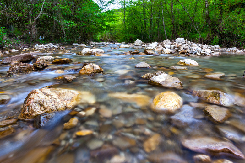 Forest landscape in the vicinity of Sochi, Russia.