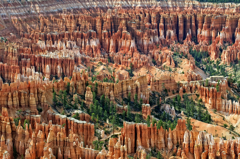 Amphitheater At Bryce Canyon