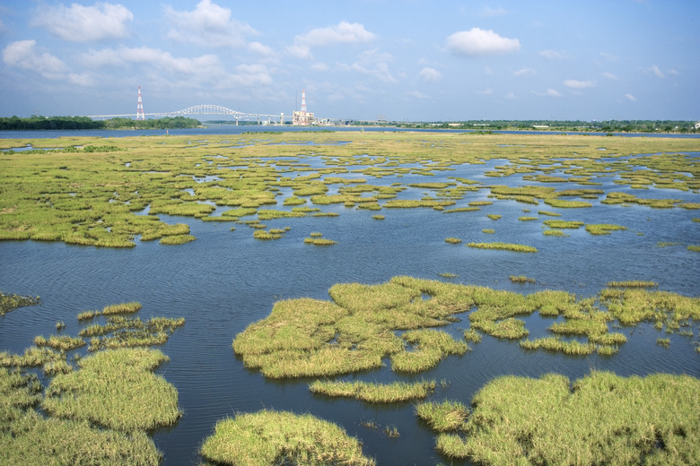 Aerial view of swamplands on Mississippi River, New Orleans, Louisiana