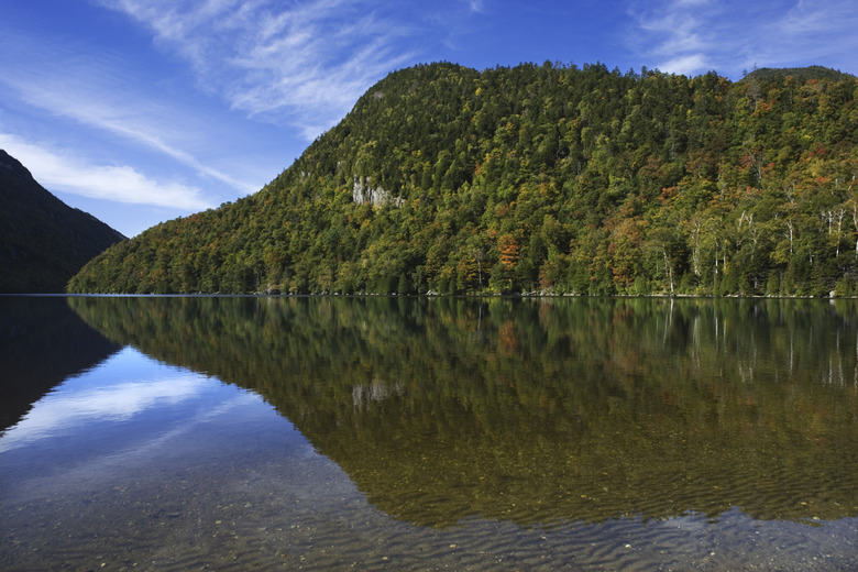 Forest reflecting in river