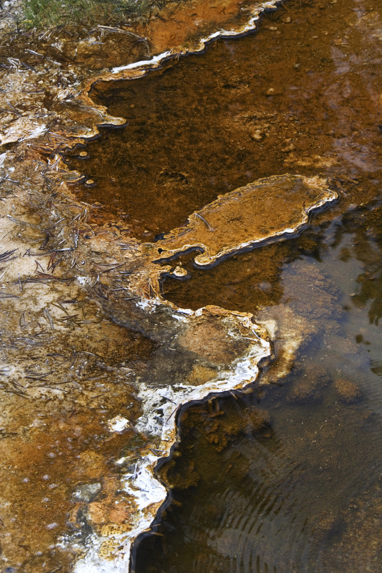 Water with mineral deposits, Yellowstone National Park