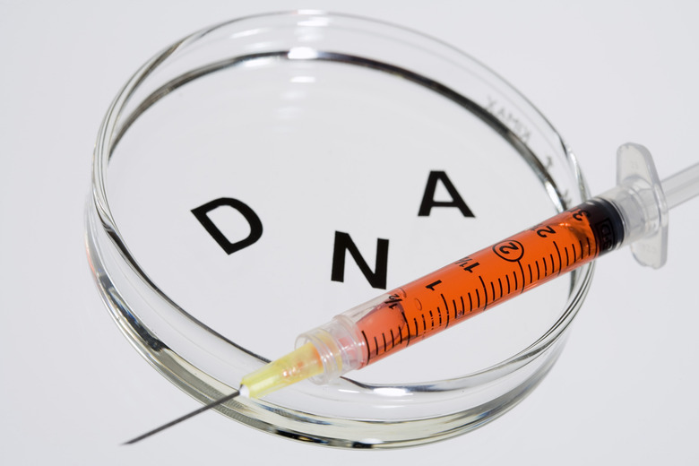 DNA in petri dish with syringe