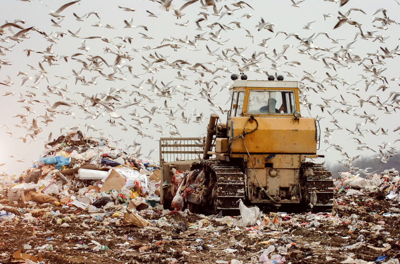 Man driving a garbage truck on a landfill