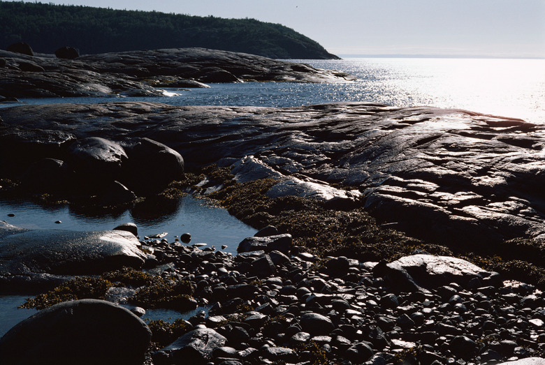 Seascape with tide pools on seashore