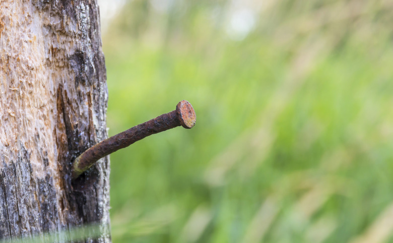 Rusty nails on old wood