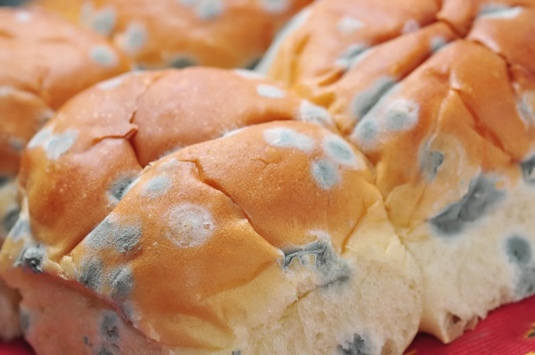 Moldy Bread Rolls