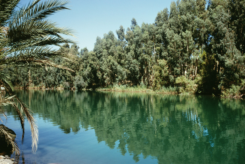 Peaceful lake by trees