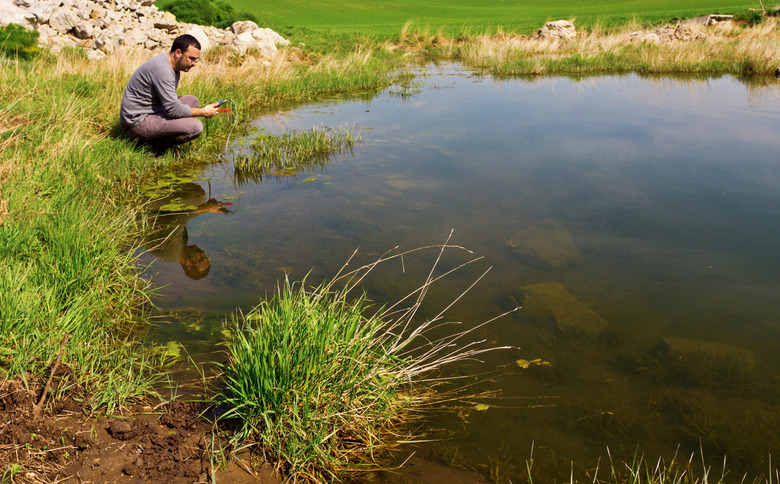 Measuring water quality