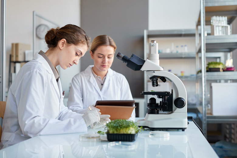 Two Young Women Examining Plants in Laboratory