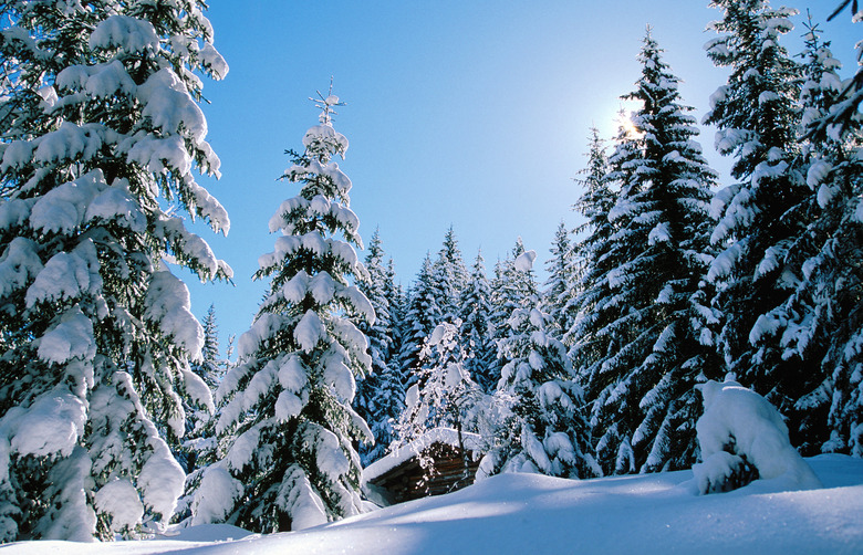 Isolated cabin in snow covered forest