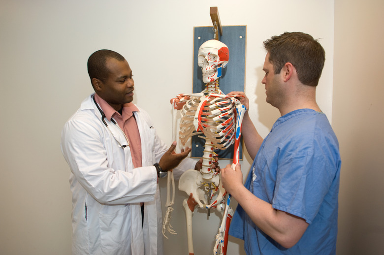 Student doctors studying anatomy on a skeleton