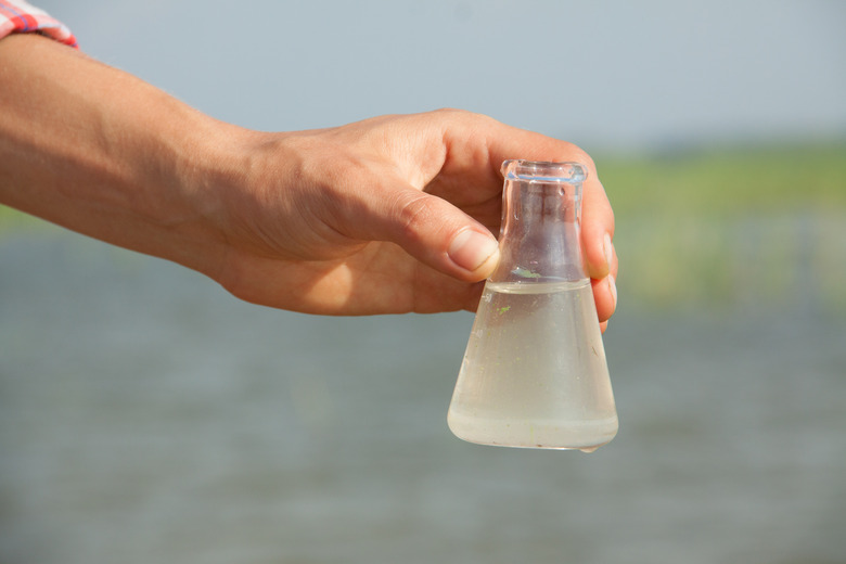 Water Purity Test. Hand holding chemical flask with liquid, lake