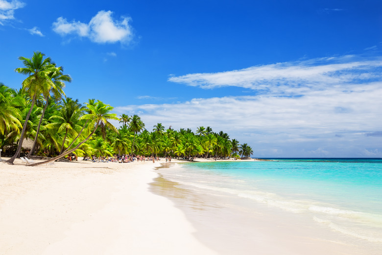 Coconut Palm trees on white sandy beach