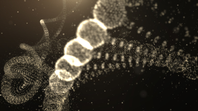 The Function of Macromolecules