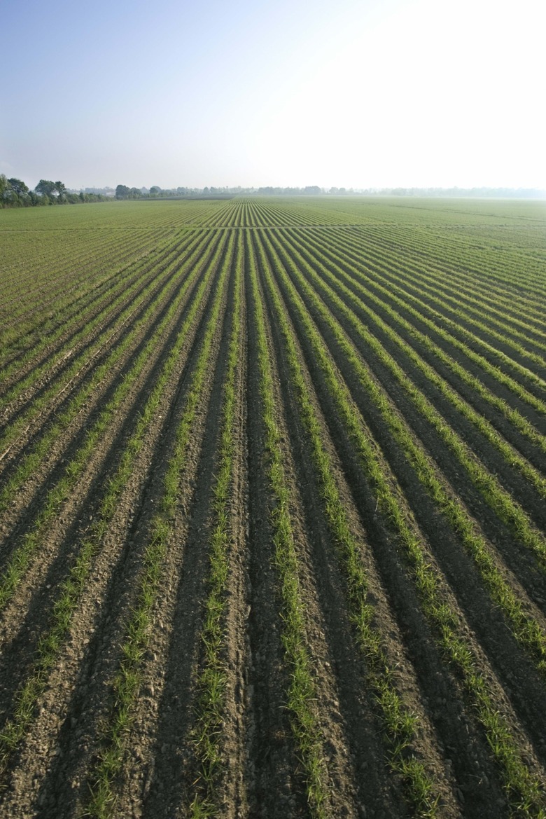 Aerial view of agricultural landscape