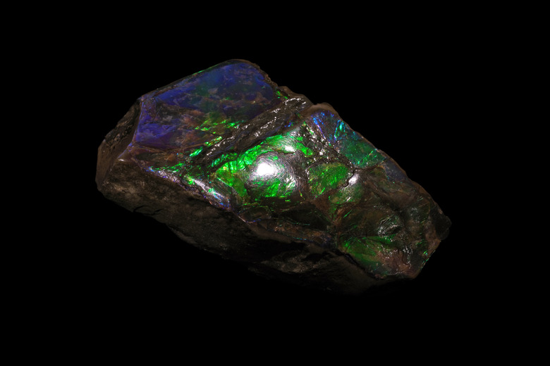 Ammolite mineral on black background