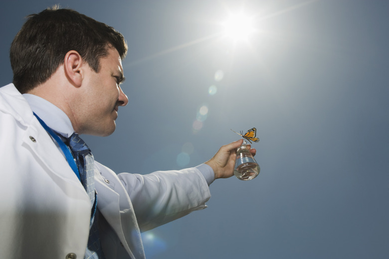 Scientist holding beaker with butterfly