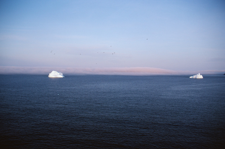 Pair of icebergs in St. John's Bay, Newfoundland, Canada