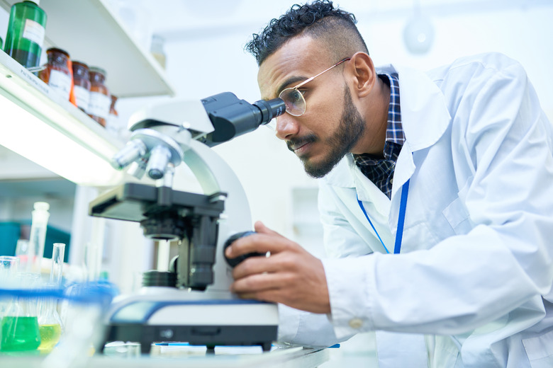 Scientist Using Microscope in Laboratory