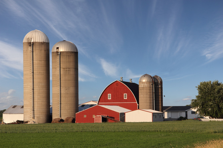 Modern Family Farm