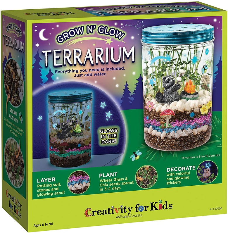 Terrarium Garden Kit