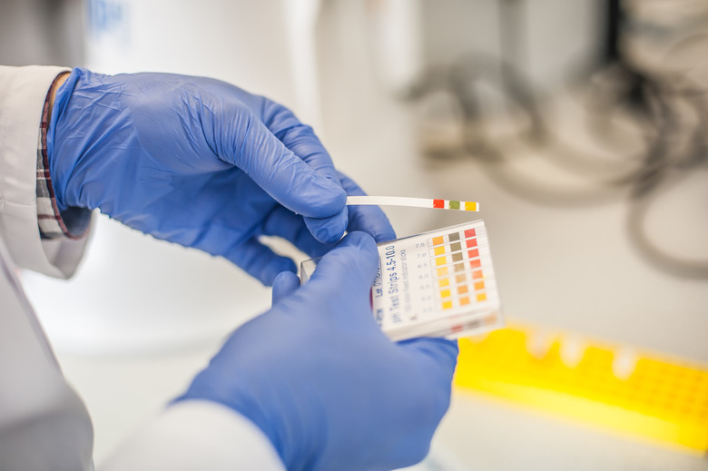 Laboratory technician working with test strips indicator paper