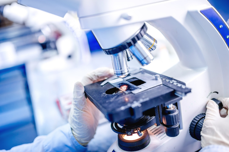 medical laboratory, scientist hands using microscope for chemistry samples