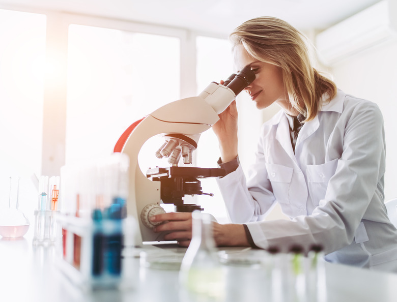 Laboratory scientist working.