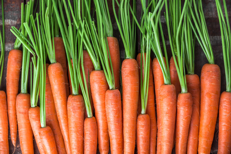 What Happens After You Put a Carrot in Saltwater?