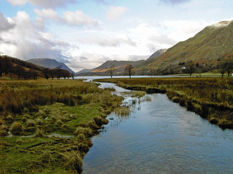 How Does Fertilizer Affect Aquatic Ecosystems?