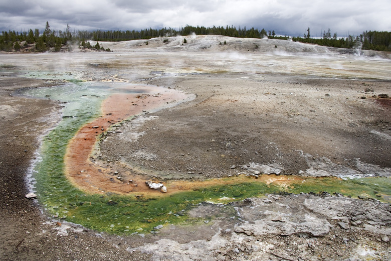 Mineral deposits, Yellowstone National Park