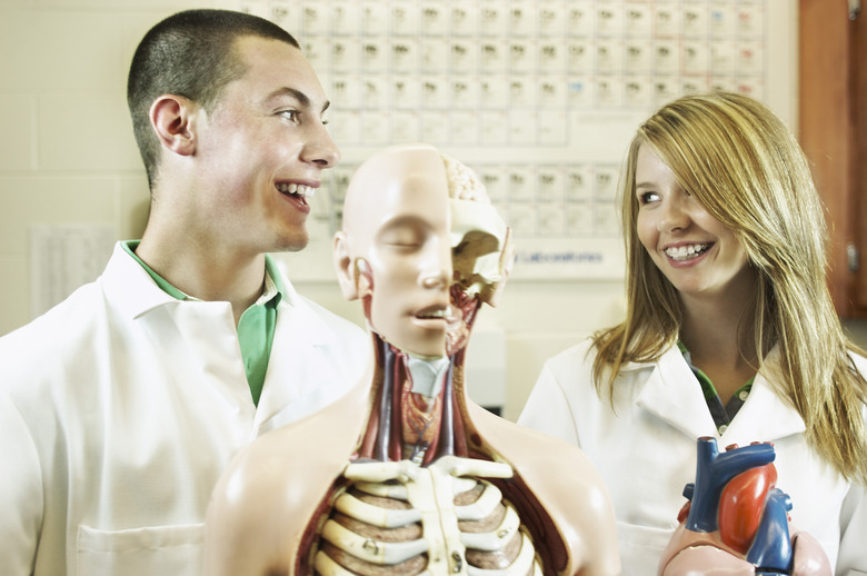 Smiling teenagers standing next to model of human body