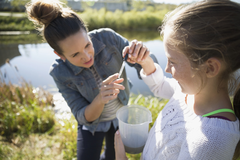 Science teacher and student testing water field trip