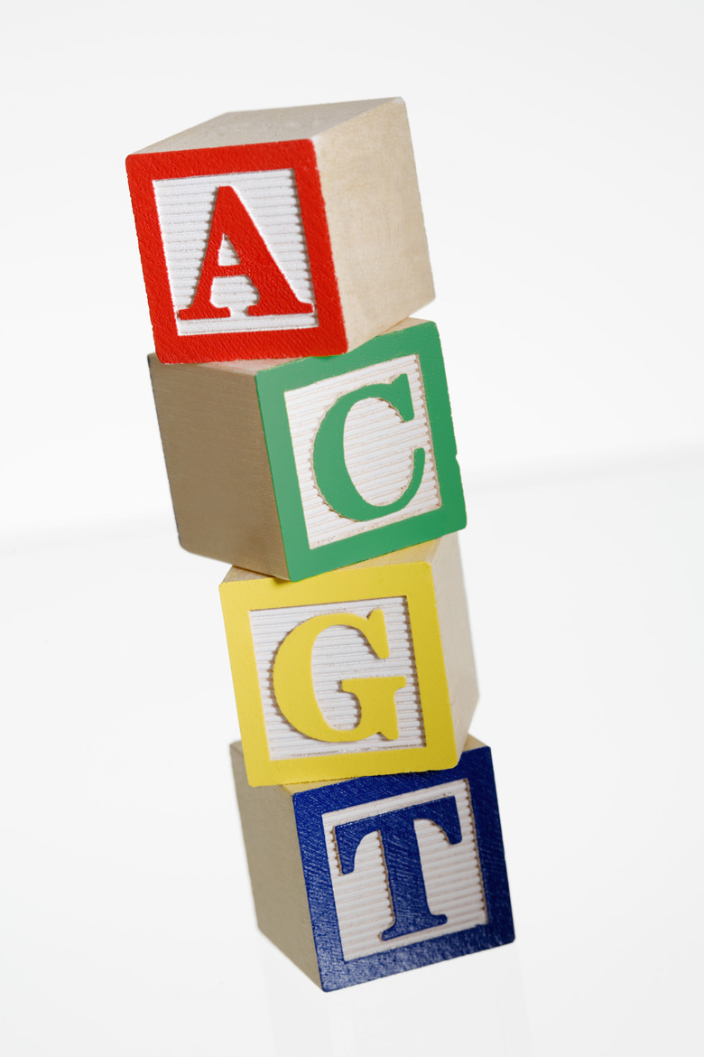 ACGT letter blocks