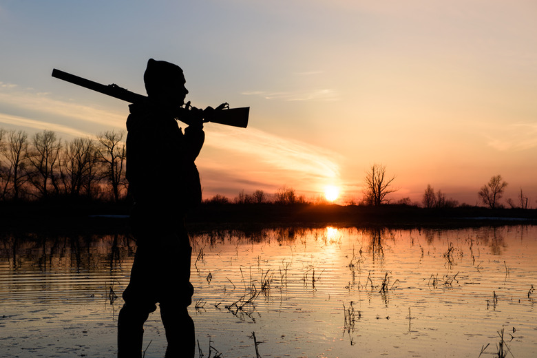 How Does Hunting Affect the Environment?