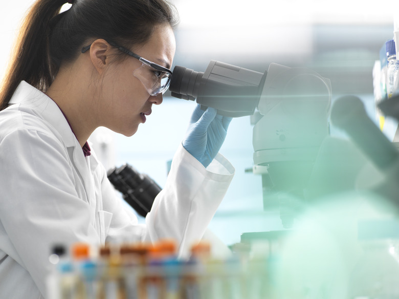 Scientist identifying cell structures on glass slide with microscope in laboratory