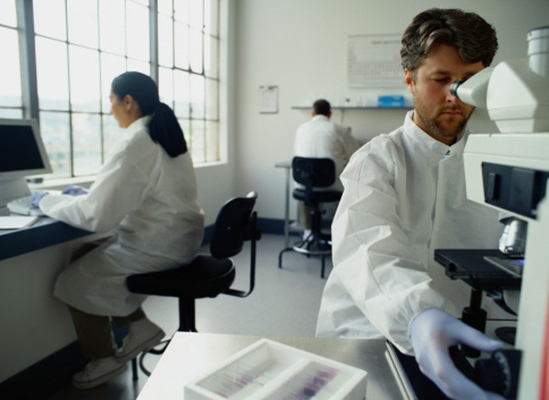 Scientists in a lab.