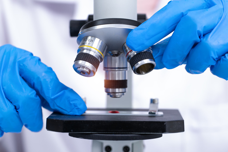 scientist looking through a microscope in a laboratory. Young scientist doing some research.