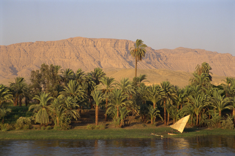 Egyptian landscape