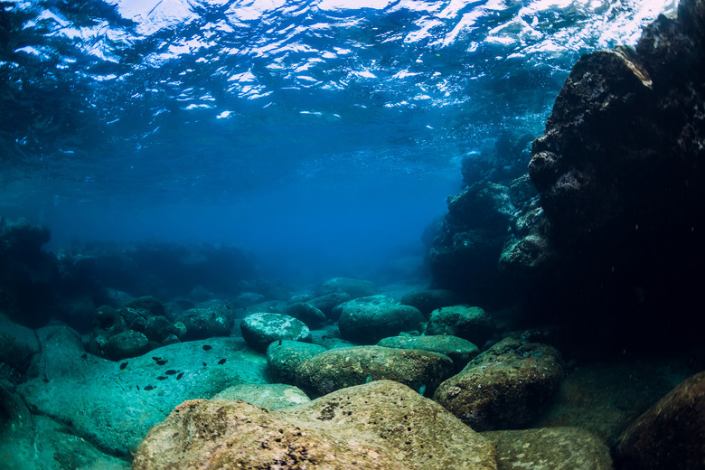 Tranquil underwater scene with copy space. Tropical transparent ocean with rock and stones