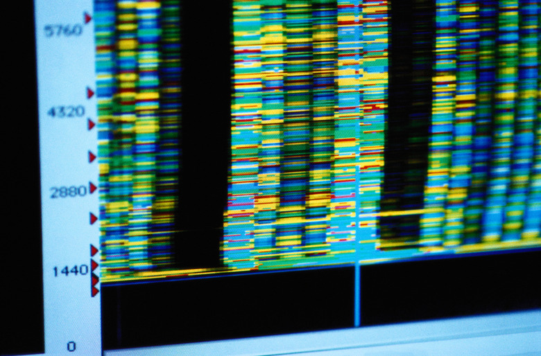 Computer Monitor Showing DNA Configurations