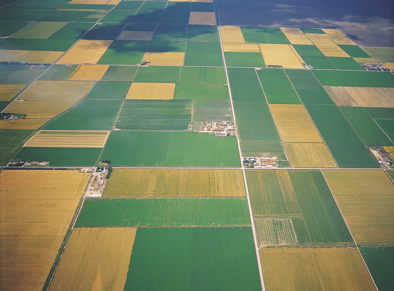 Aerial view of crops