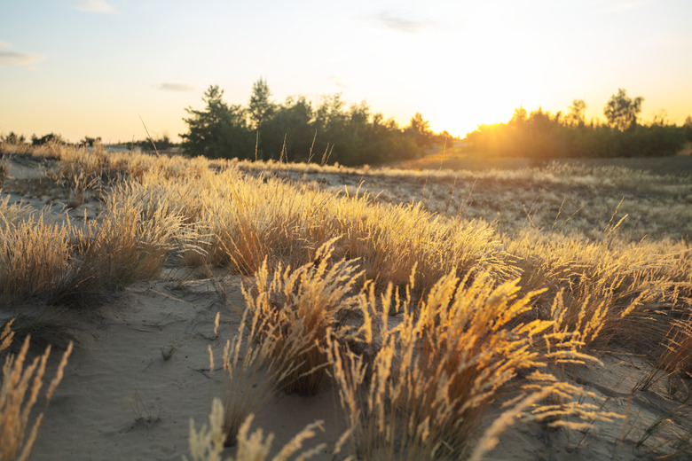 sandy prairie landscape at the sunset, outdoor wild background