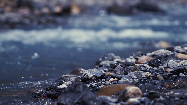 Surface Level Of Rocks On Shore