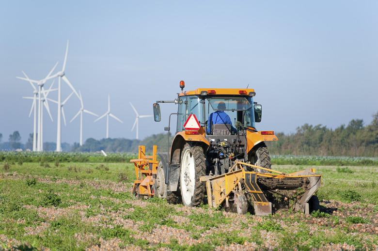 Farmer on tractor harvesting onions