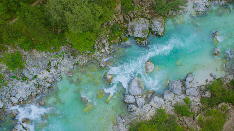 TOP DOWN: Breathtaking mountain stream rushing through the lush green forest.